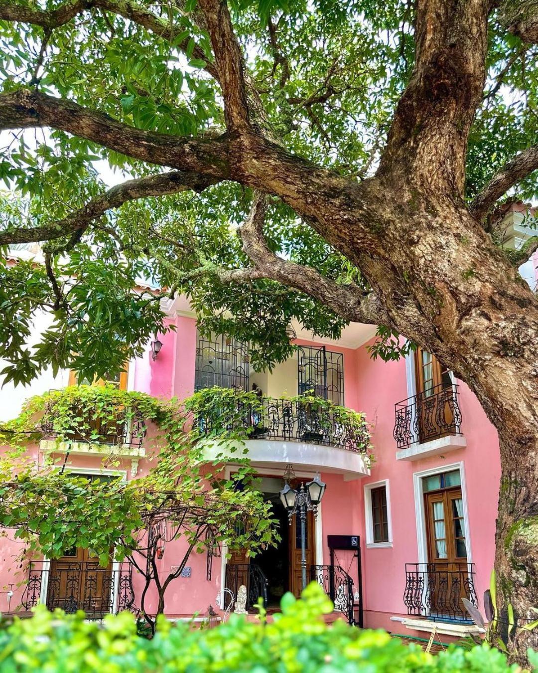 Hotel Boutique Quinta Das Videiras Florianopolis Luaran gambar